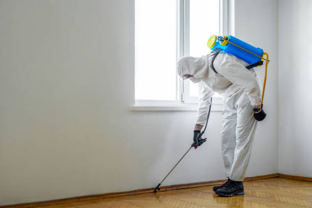 Pest Control for Restaurants in Third Lake, IL