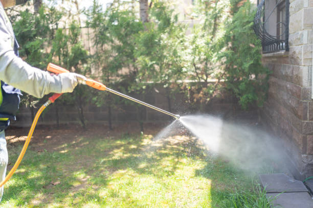 Reliable Third Lake, IL Pest Control Solutions