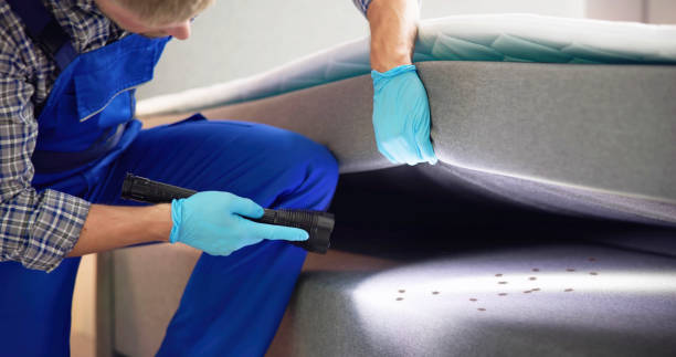 Best Local Pest Control Services  in Third Lake, IL