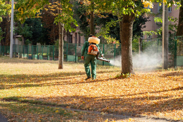 Best Pest Control Treatment  in Third Lake, IL