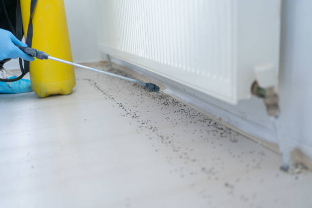 Best Bed Bug Extermination  in Third Lake, IL