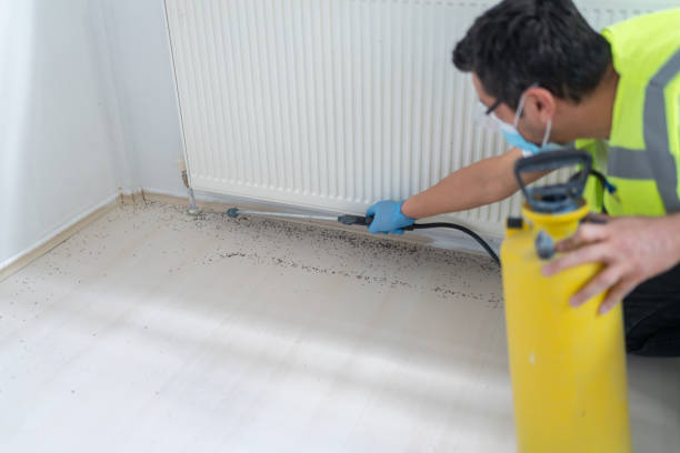 Best Wasp Removal Services  in Third Lake, IL